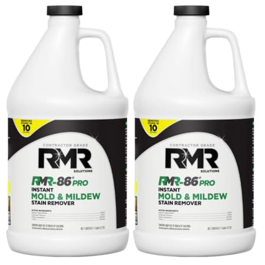 RMR-86 Professional Mold Stain Remover