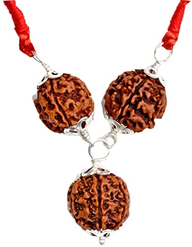 GOOFY TURTLE Natural & Certified Saraswati Bandh 2 Beads of 4 Mukhi/Faced & 1 Bead of 6 Mukhi/Faced Rudraksha Astrological Rudraksha for Men & Women (Brown)