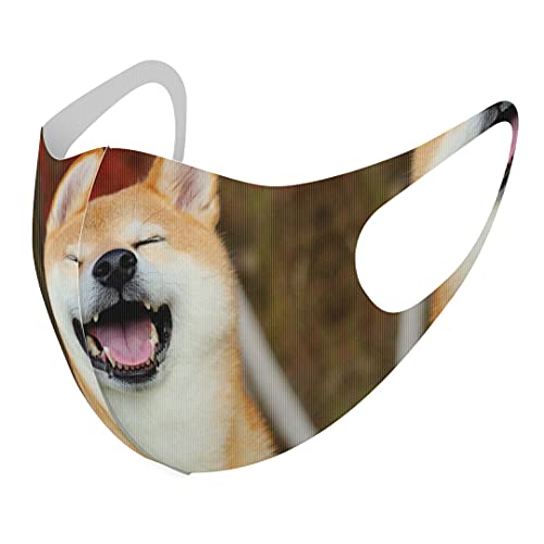 [�X�}�R��] �f�U�C�� �}�X�N �Q���Z�b�g �|���G�X�e�� �􂦂� �z�}�X�N XL�T�C�Y �傫�� �j���p 015611 �� ���킢�� �Č�