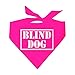 Blind Dog Reflective High Visibility (Hi Vis) Night Safety Neon Dog Bandana (Assorted Colors)
