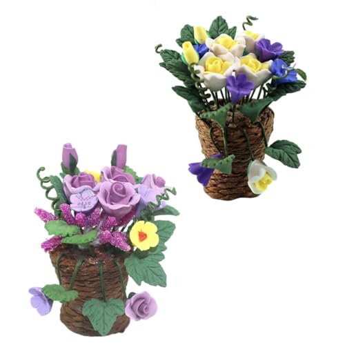 FRCOLOR h[nEXp~j~̓t[oXPbg ҂ݍݑf ^CeAI[ig ~j`Az[fR[V 2