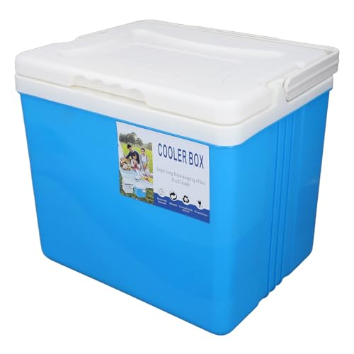 Nevera portátil de 10 litros para un picnic familiar o días de camping 2