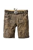 Marke: Stockerpoint Stockerpoint - Herren Lederhose mit Gürtel, Thomas, Größe:52, Farbe:Stein geäscht