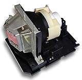 GOLDENRIVER 20-01032-21 Projector Lamp Bulb with Original OEM Bare Bulb Inside and Generic Housing...