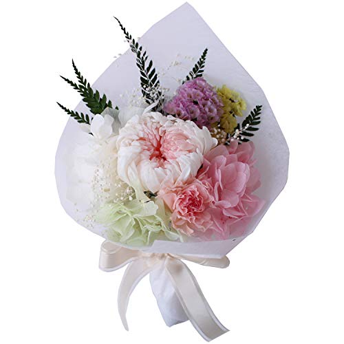 vU[uht[ vU[ht[  Ȃ ݃u[P WsN   ݗp ފ ~ AW bsOt ͂Ȃ