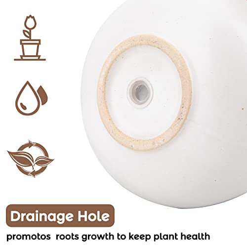 Chonsun Ceramic Planter With Saucer 6 Inch Plant Pots Indoor Oudoor Planter With Drainage Hole Flower Pots Succulent Plant Pots Mid-Century Planter Ceramic White #TOP2