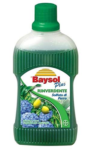 Bayer Baysol Rinverdente 500 Ml