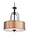Trans Glob Lighting Trans Globe Imports 9624 Transitional Three Light Pendant from Henderson Collection Dark Finish, 20.00 inches, Rubbed Oil Bronze