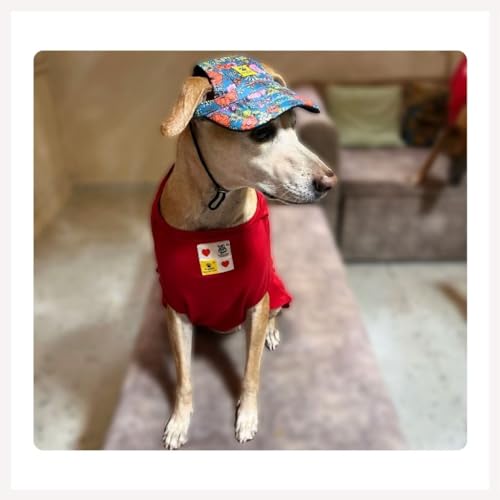 Image of A+a Pets' Stylish Baseball Cap for Dogs & Cats | Adjustable Toggle| Printed Waterproof | for Everyday, Summer, and Rainy Days (L)