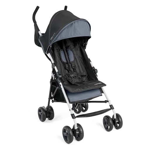 Ingenuity 3D Mini Slate Grey Stroller