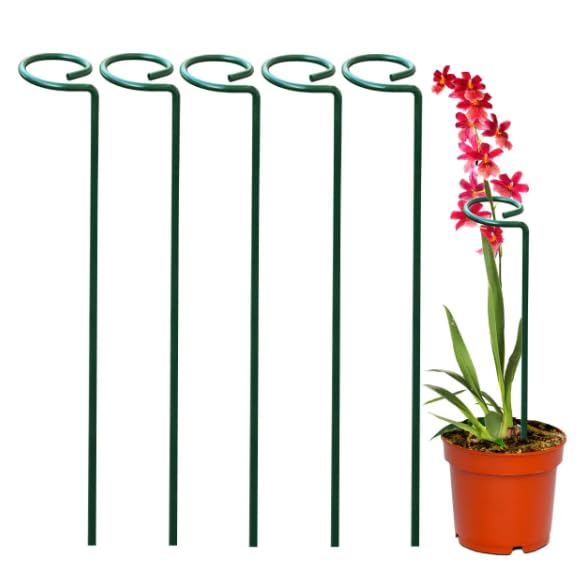 Pack of 6,18Inch Plant Support Stakes, Metal Single stemmed Flower Support Hoops，Garden Plant Stakes Plant Prop for Amaryllis Orchid Lily Rose Peony Tomatoes Gladiolus-image-13