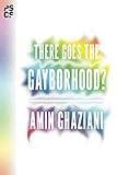 There Goes the Gayborhood? (Princeton Studies in Cultural Sociology)