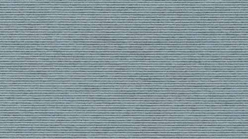 Tretford Teppichboden Interland 2 Meter Breit vorgegebene Größen Farbe 641, Größe 300cm