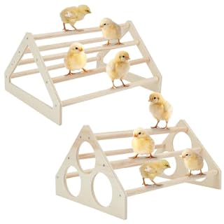 Webeedy duo de perchoirs en pin pour poussins 33 cm