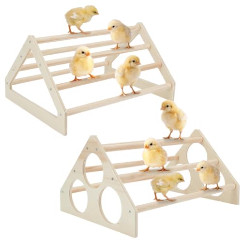Webeedy duo de perchoirs en pin pour poussins 33 cm