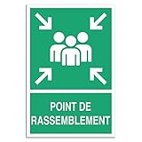 Panneau Point de Rassemblement - Signalétique de Sécurité Norme ISO 7010 en Forex Imprimé (60 x 40 cm (picto+texte))