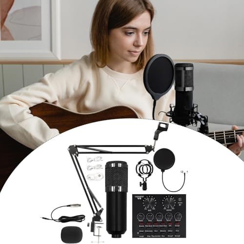 Professional Microphone Bundle & Music Production Kit - Image 3