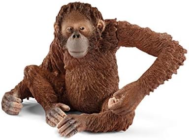 Schleich Wild Life, Animal Figurine, Animal Toys for Boys and Girls 3-8 Years Old, Female Orangutan, Ages 3+
