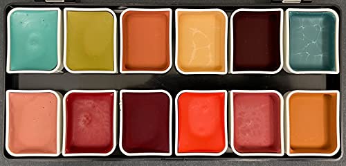 Narrative Cosmetics 12-Color Complexion Alcohol-Activated Palette, Professional Quick Drying Waterproof Sfx Makeup, Tattoo Cover #TOP2