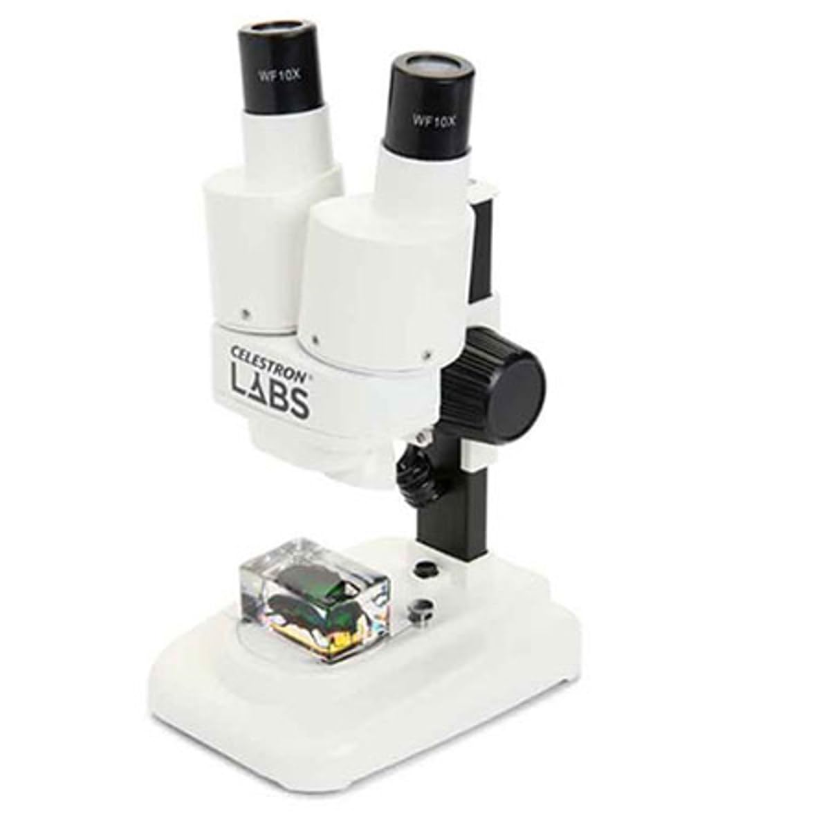 Celestron – Celestron Labs – Binocular Stereo Microscope – 20x Magnification – Upper LED Illumination – Includes 2 Specimens