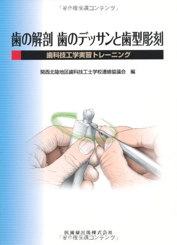 歯の解剖 歯のデッサンと歯型彫刻歯科技工学実習トレーニング | 関西