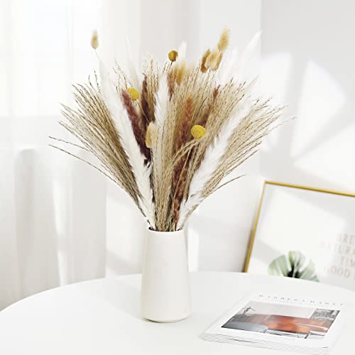 iFancer Pampas Grass Decor Fluffy Dry Nature Plants Arrangements Bouquet Dried Flowers for Vase Home Decoration
