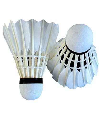 Yashvin Brand Feather Shuttle Cock, Pack of 10 (White)-picture-21