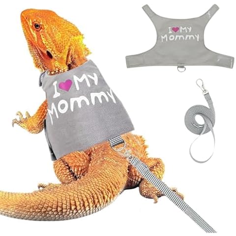 Bearded Dragon Harness and Leash Set with Glow Cover