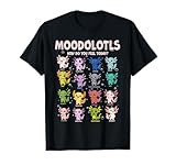 Moodlotls Axolotl Mood Chart Art
