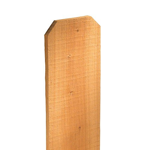 Western Red Cedar Dog Ear Fence Picket 1 in. x 6 in. x