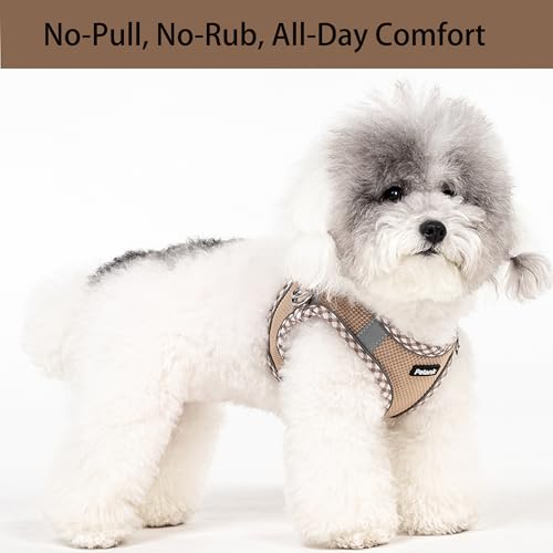 Image of Petank Dog Harness for Small Medium Dogs No Pull, Puppy Harness and Leash Set for Walking, Running, Training, Small Dog Harness, Medium Dog Harness (Brown, L)