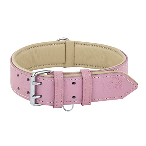 Riparo Hundehalsband, gepolstert, echtes Leder, verstellbar, strapazierfähig (L: 3,8CM Breit für 43,2CM - 53,3CM Hals, Rosa)