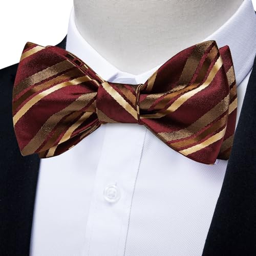 Set de corbata de moño y accesorios para hombre miniatura 2