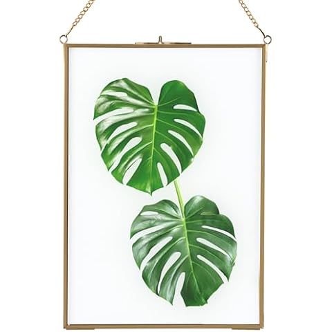 HighFree A4 Size Glass Pressed Flower Frame, Brass Gold Hanging Floating Frame with Chain for Plant Specimens, Artwork, Photos, and DIY Wall Decor (8.3 x 11.8 inches) Cover