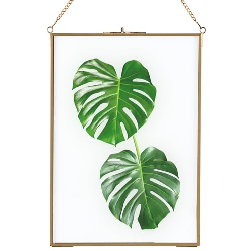 Homtone Marco de vidrio de 21 x 30 cm para pared, marco flotante para exhibición, marco de vidrio para colgar fotos, prensado de cobre puro para flores, plantas y fotos