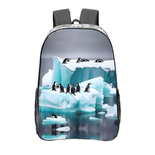 Sac à dos transparent avec poches imperméable style noir épuré