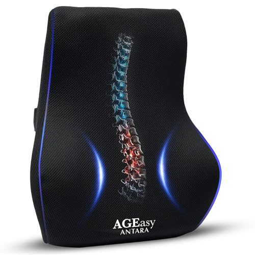 Image of AGEasy (Max Group Lumbar Back Support | Orthopedic Lumbar Support for Back Pain Relief | High Density Memory Foam (Black)