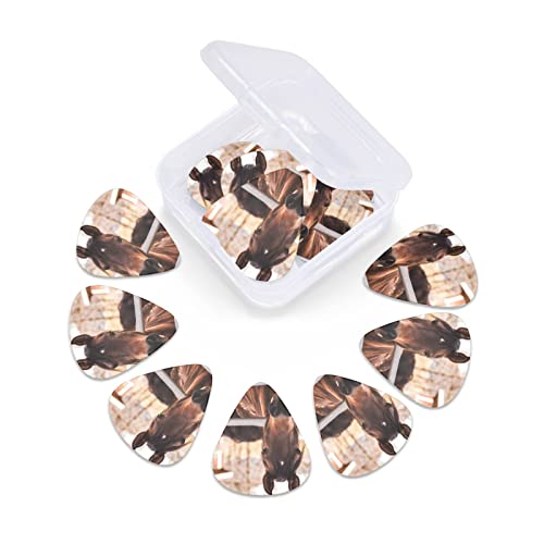 Ensemble de 12 médiators de guitare Brown Horses pour guitare acoustique, guitare électrique, contrebasse, ukulélé - Les Beatles, Paul McCartney, John Lennon, RIngo Starr, George Harrison Ensemble de 12 médiators de guitare Brown Horses pour guitare acoustique, guitare électrique, contrebasse, ukulélé – Image 7