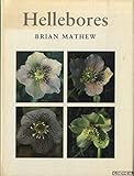 Hellebores