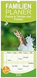 Familienplaner 2025 - Fische in Teichen und Flüssen mit 5 Spalten (Wandkalender, 21 cm x 45 cm), CALVENDO