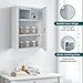 Wall Mounted Locking Medicine Cabinet - Metal Medicine Cabinet with Lock, Double Security Door for Safe Medicine Storage, Adjustable Shelf, White, 12