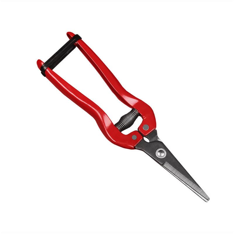 Professional Fruit Picking Scissors Grape Harvesting Grafting Scissors Garden Manual Pruning Shears-picture-24
