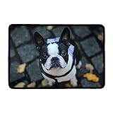 Binienty Welcome Doormats - Felpudo para interior y exterior, diseño de Boston Terrier