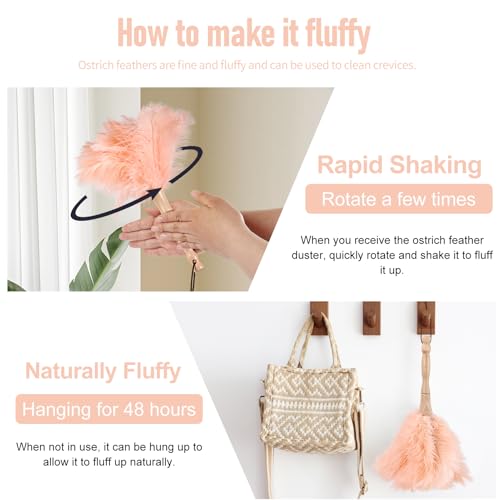 Image of Ostrich Feather Duster 12 Inch Handheld Duster Supplies, Wooden Handle Feather Duster for Cleaning Keyboard Home Car Office (Champagne 10Pcs)