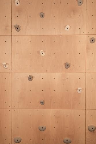 DIY Climbing Wall Panel – 47\" x 23.5\" Birch Plywood, Pre-Drilled T-Nuts, Textured & Paintable Surface – Indoor Home Gym & Kids Playroom Rock Wall Panel (Climbing Holds Not Included) (Natural) - Thumbnail 2