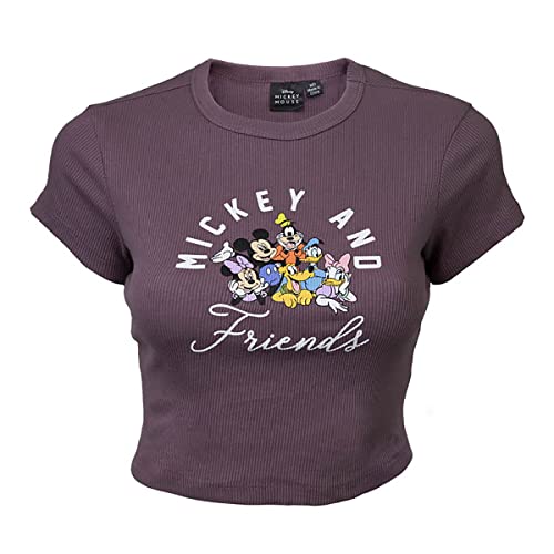 Junior's Mickey & Friends Classic Pals T-Shirt - Maroon - Large