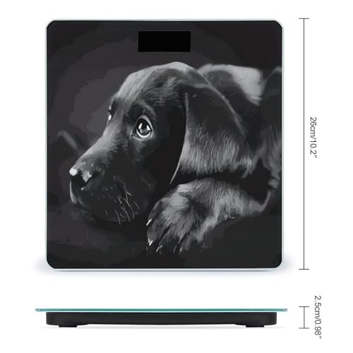 Báscula digital de baño con diseño cachorro Labrador Negro miniatura 2
