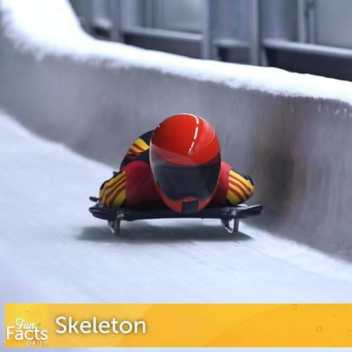 Fun Facts About Skeleton