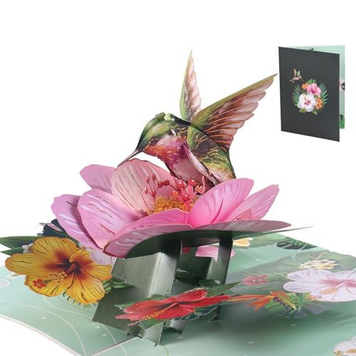 DOCEPERT Cartes d'anniversaire pop-up pour femme, colibri et fleur, carte d'anniversaire pop-up, carte cadeau 3D amusante pour maman, grands-mères, épouses et filles