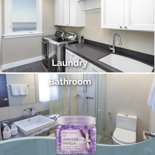 SMELLS BEGONE 12 oz Odor Eliminator Gel - Air Freshener - Absorbs & Eliminates Odor in Bathrooms, Basements, Cars, Boats, RVs & Pet Areas - Made with Essential Oils - Lavender Vanilla